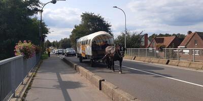Campagne lokale verkiezingen 2024 14