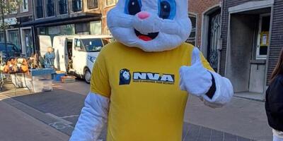 balen jaarmarkt 2025 1