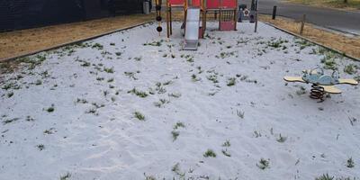 onkruid in speeltuintjes 2