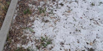 onkruid in speeltuintjes 3