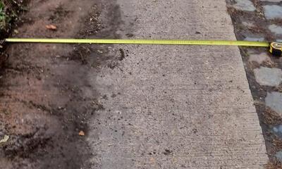 overbegroeing voetpaden 2