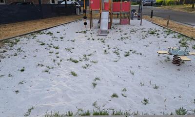 onkruid in speeltuintje